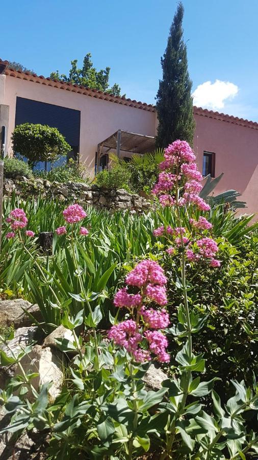 Bastide Cigaline Villa Le Beausset Ngoại thất bức ảnh