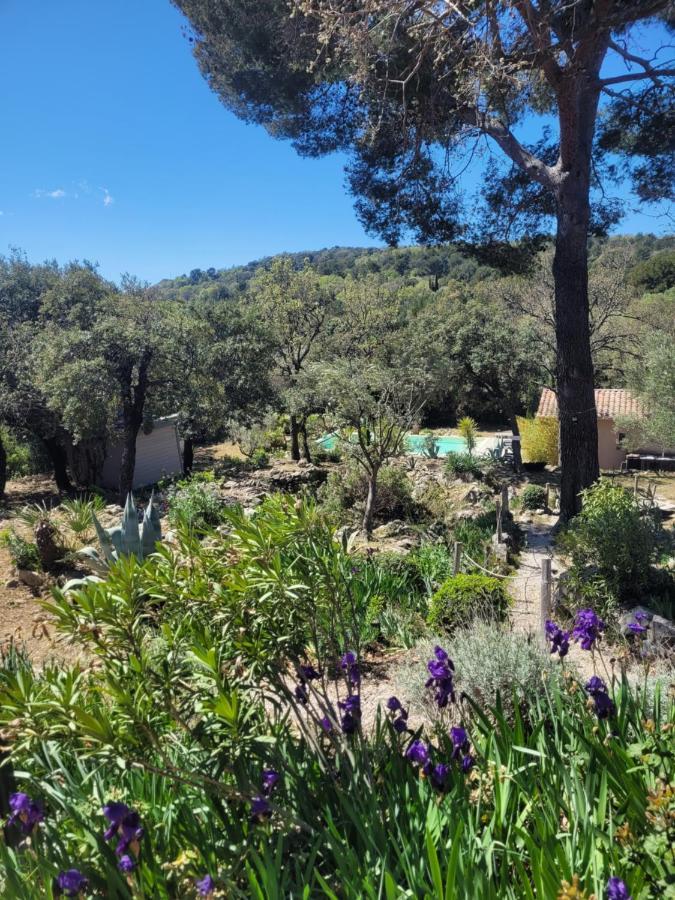 Bastide Cigaline Villa Le Beausset Ngoại thất bức ảnh